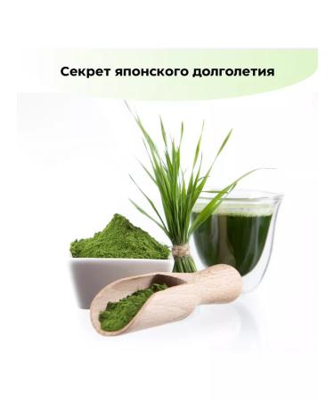 nihon-yakken Aodziru 100% of the shoots of young barley 46 sticks - Buy Online on GoSupps.com