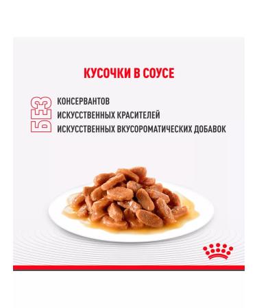 ROYAL CANIN Wet feed Weight Care for cats in sauce 85 g 5 pcs - Buy Online on GoSupps.com