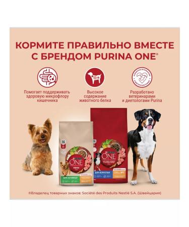PURINA ONE For adult dogs beef with rice 3.8 kg - Buy Online on GoSupps.com