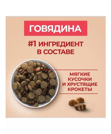 PURINA ONE For adult dogs beef with rice 3.8 kg - Buy Online on GoSupps.com