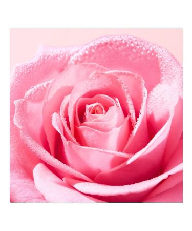 NUXE Micellar water for removing makeup Very Rose 200ml - Buy Online on GoSupps.com