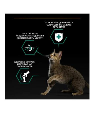 PRO PLAN Wet feed for cats lambs in jelly 85 g 10 pcs - Buy Online on GoSupps.com