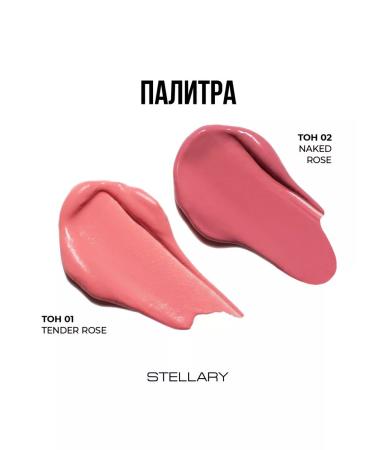 Stellary Liquid face blush Liquid Blush tone 01 - Buy Online on GoSupps.com