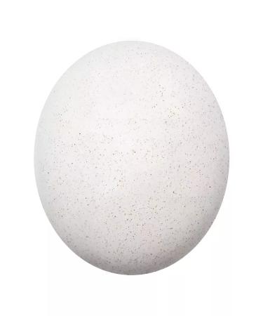 Influence Beauty SS Cream Skin Transformer tone 01 25 ml - Buy Online on GoSupps.com