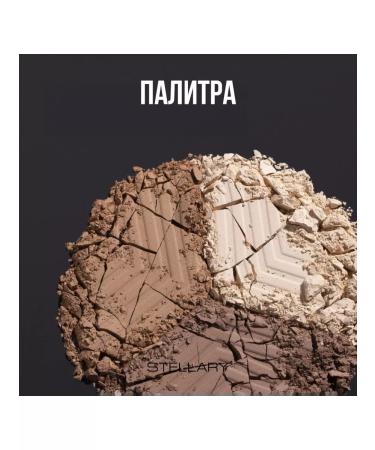 Stellary Face contouring Face Sculptor shade 02 - Buy Online on GoSupps.com