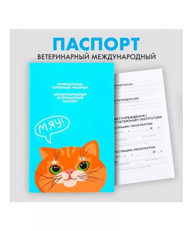 Fluffy happiness Veterinary passport International red cat