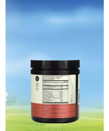 Terra origin Healthy GUT additive to normalize the functions of gastrointestinal tract watermelon 243 g - Buy Online on GoSupps.com