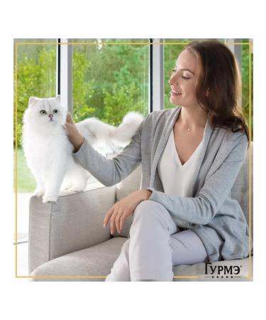 Gourmet Wet dimensional recipes for cats turkey 75 g 5 pcs - Buy Online on GoSupps.com