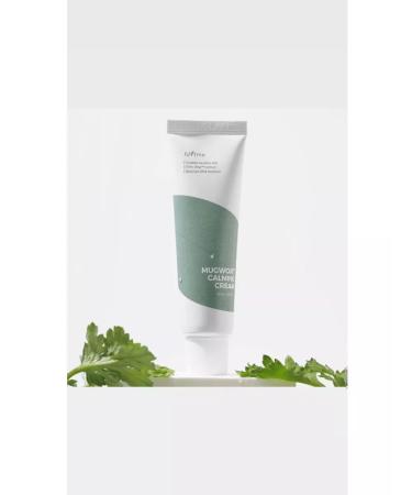 Isntree Calling face cream with wormwood