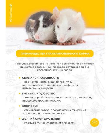 For your pets With a tail Rat food 700 g granular - Buy Online on GoSupps.com