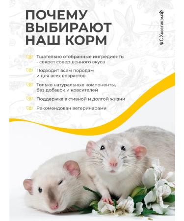 For your pets With a tail Rat food 700 g granular - Buy Online on GoSupps.com