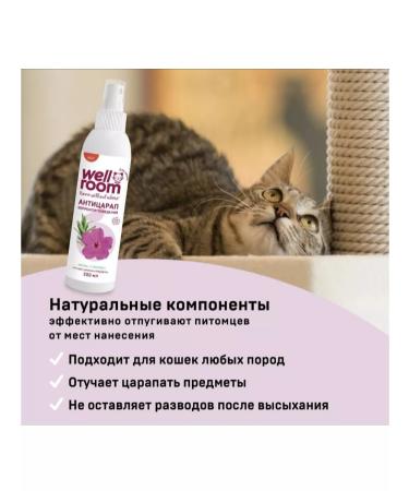 Wellroom Antizarap Middle Cut - Buy Online on GoSupps.com