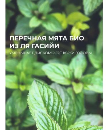 Yves Rocher Shampoo against dandruff with peppermint bio - without sulfates - Buy Online on GoSupps.com