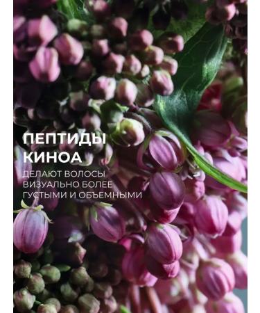 Yves Rocher Shampoo volume with peptides of the cinema - without sulfates - Buy Online on GoSupps.com