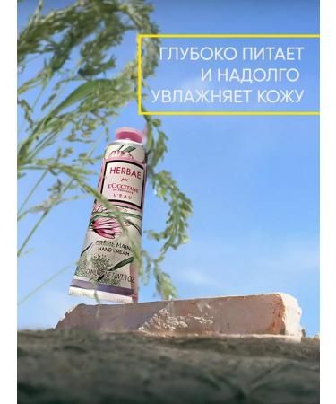 L'Occitane Hand cream moisturizer Herbae L'Eau 30 ml - Buy Online on GoSupps.com