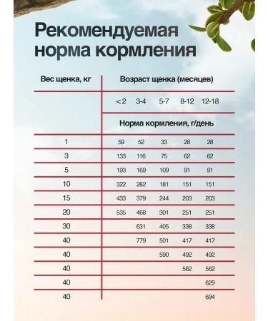 BLITZ Feed for puppies with lamb and rice 1.8 kg - Buy Online on GoSupps.com