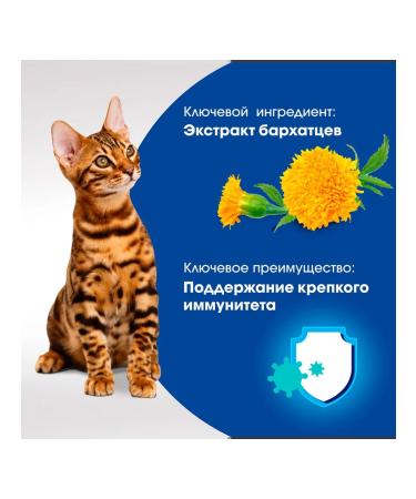 PERFECT FIT Immunity treat for immunity of cats chicken 50 g - Buy Online on GoSupps.com