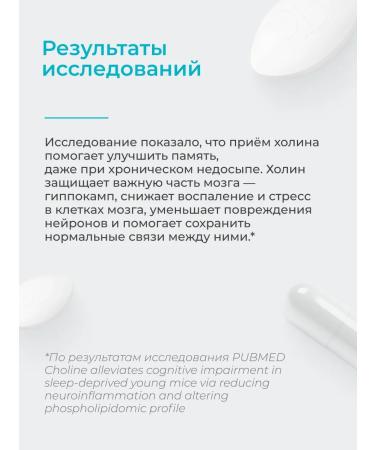 LeafToGo Choline for the liver and brain 60 capsules - Buy Online on GoSupps.com