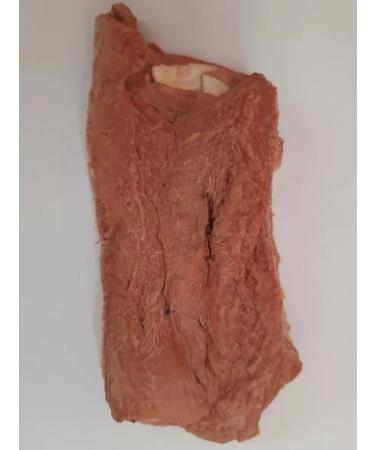 VYALNITSA Esophagus meat with dogs for dogs sublimated - Buy Online on GoSupps.com
