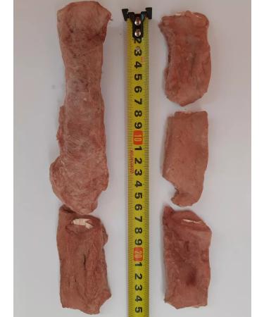 VYALNITSA Esophagus meat with dogs for dogs sublimated - Buy Online on GoSupps.com