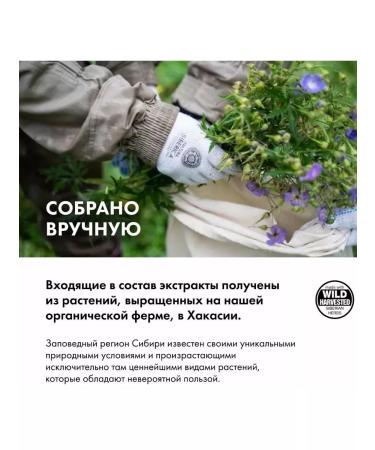 Natura Siberica Balm for dyed and reversed hair - Buy Online on GoSupps.com