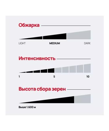 Lavazza Coffee ground Rossa Arabica Robust freshly -growed 2x250 g - Buy Online on GoSupps.com