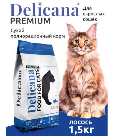 Delicana Dry food for cats with salmon 8kg - Buy Online on GoSupps.com
