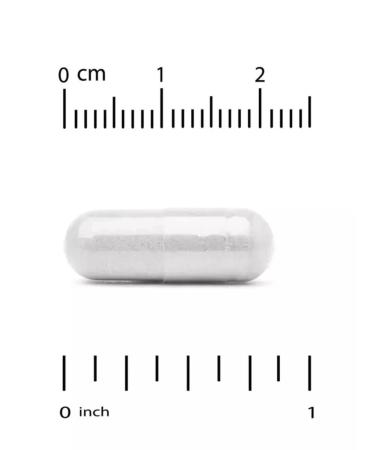 California Gold Nutrition Lactobif5 digestive probiotics 60 vegkapsul - Buy Online on GoSupps.com