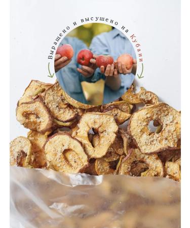 Eco-farmer Apple chips with coconut shavings 5 pcs 35 grams - Buy Online on GoSupps.com