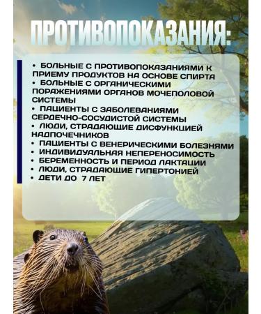 Forest Beaver stream tincture 250 ml - Buy Online on GoSupps.com