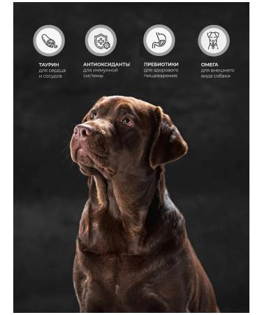 DoggyDog Feed for dogs of small and medium rocks 2 kg - Buy Online on GoSupps.com