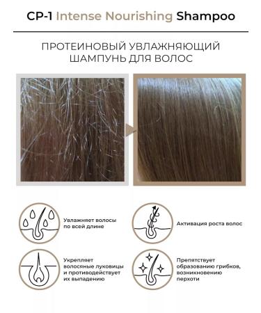 Aesthetic House Intensively feeding hair shampoo 100ml - Buy Online on GoSupps.com