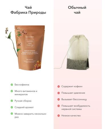 FACTORY OF NATURE Tea drink karamel cookies 50 g - Buy Online on GoSupps.com