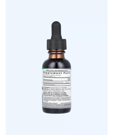 Nature's Answer Gotu Kola Extract Gotu Kola Extract 30 ml - Buy Online on GoSupps.com