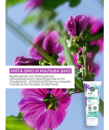 Yves Rocher Cooling soothing leg gel 75 ml - Buy Online on GoSupps.com