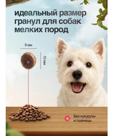 BLITZ Dry food for small breeds with lamb 0.5 kg - Buy Online on GoSupps.com
