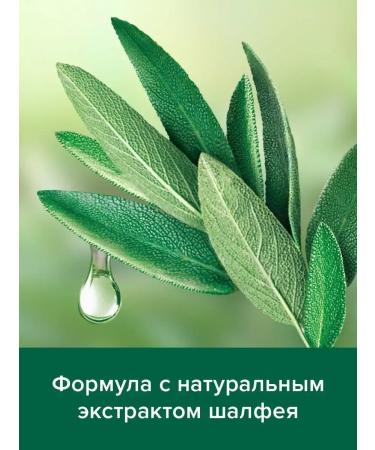 PALMOLIVE Container shampoo against dandruff sage 450 ml 2pcs - Buy Online on GoSupps.com