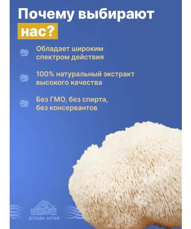 Add Altai Ezhovik comb for the brain 120 capsules - Buy Online on GoSupps.com