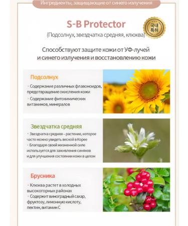 Atomy Cushon Sunscreen Urban Shield Sun Cushion SPF 50 - Buy Online on GoSupps.com