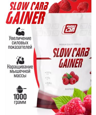 2SN Gainer for a quick set of mass raspberry 1kg