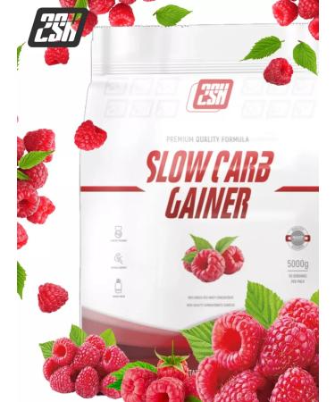2SN Gainer for a quick set of mass raspberry 5kg - Buy Online on GoSupps.com