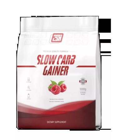 2SN Gainer for a quick set of mass raspberry 5kg - Buy Online on GoSupps.com