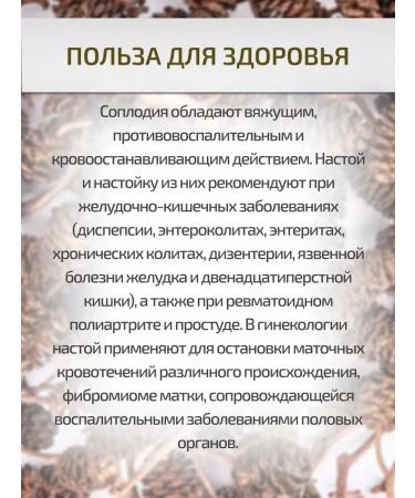 Sage Alder nozzle 2 pcs. Healing herbs phytochai - Buy Online on GoSupps.com