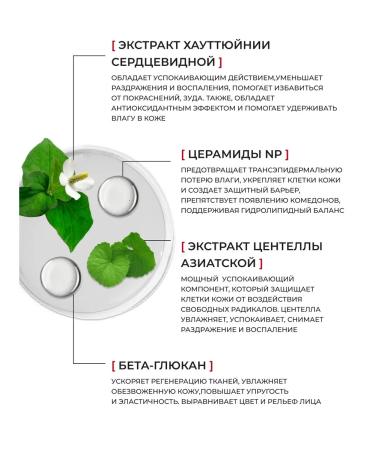 Manyo OUR VEGAN HeARTLEAF SUST COMP - Buy Online on GoSupps.com