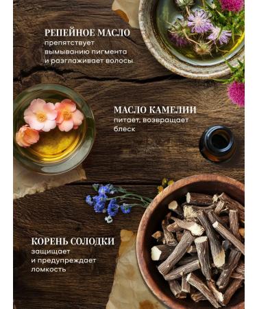 Grandma Agafia's Recipes Hair shampoo Restoring burdock - Buy Online on GoSupps.com