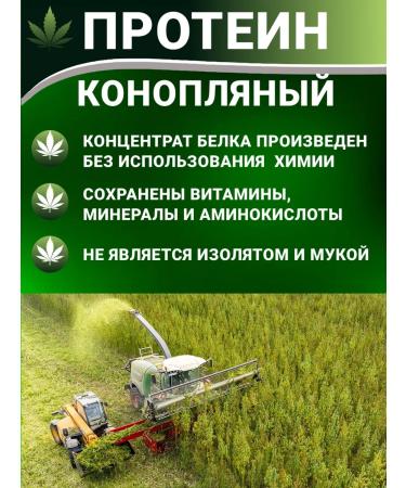 Aratai Hemp protein 400 grams - Buy Online on GoSupps.com