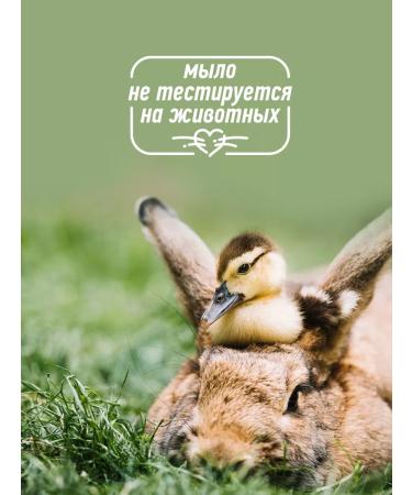 High five Liquid soap of honey and hand for hand and body 1 liter - Buy Online on GoSupps.com