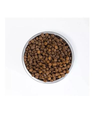 HEY BUDDEE Dry food for adult long -haired dogs set 2 kg - Buy Online on GoSupps.com