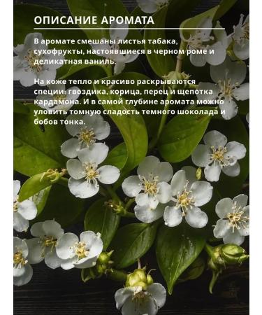 AromaGen Body cream tobacco vanilla - Buy Online on GoSupps.com