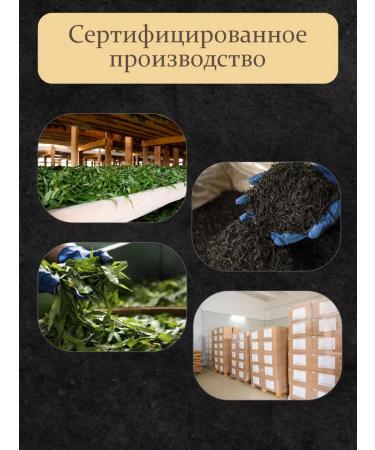 Russian Ivan-tea Black leaf tea with thyas - Buy Online on GoSupps.com